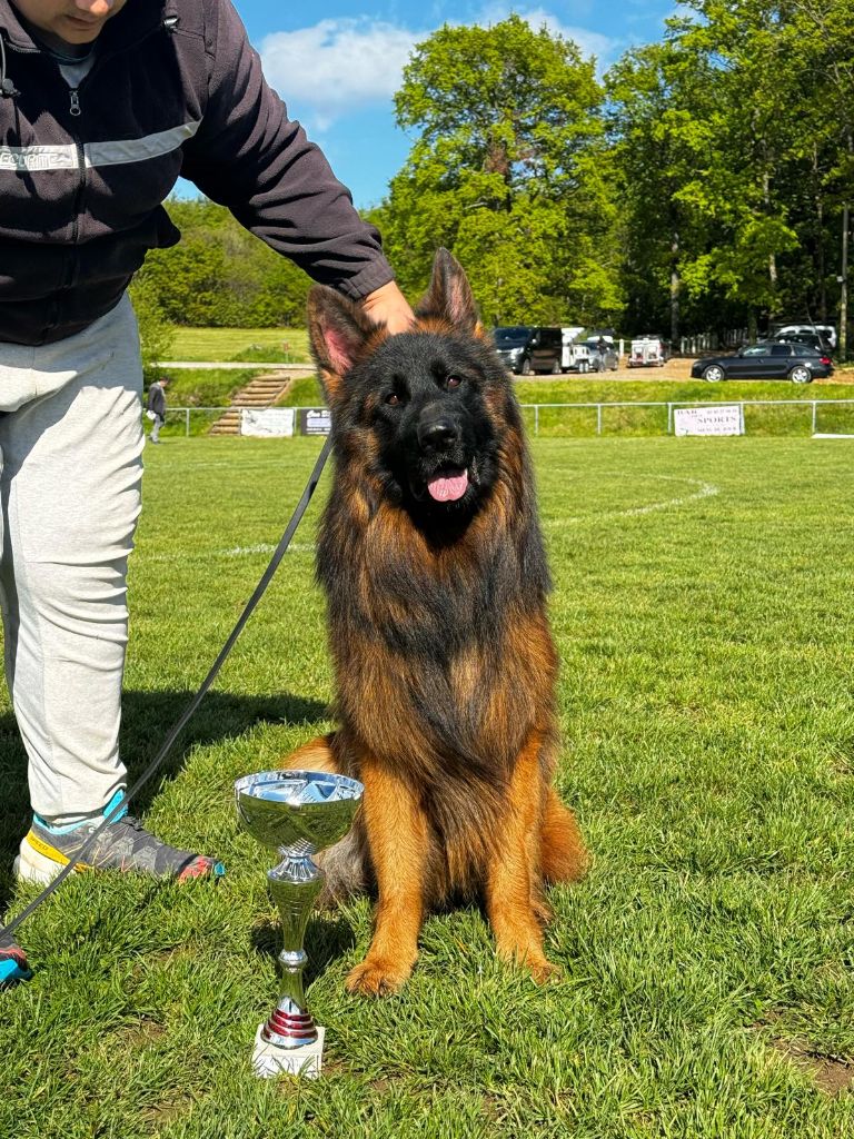 Taho de la Plaine des Epis d'Or