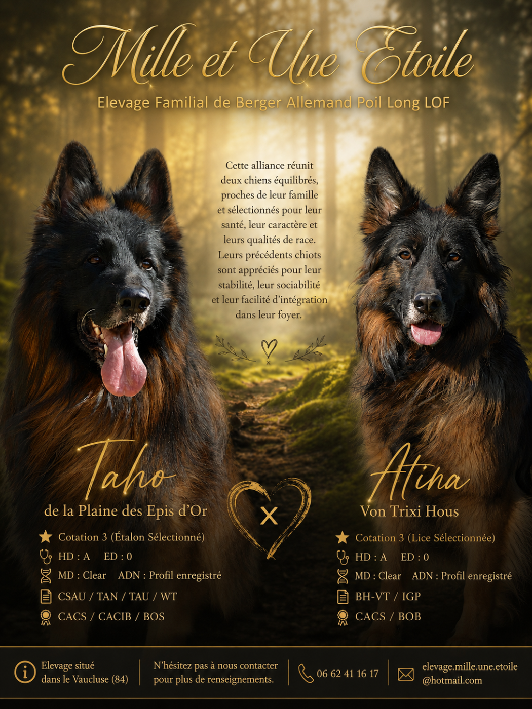 Mariage Taho & Atina