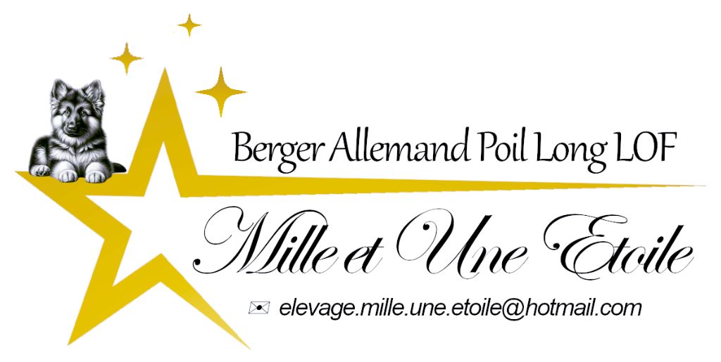 Taho de la Plaine des Epis D'Or